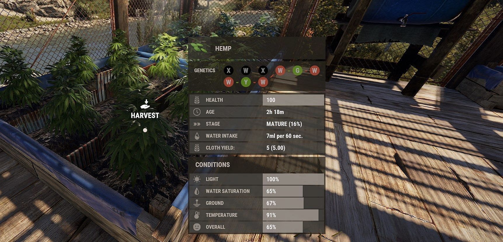 Cloth farm in Rust (Image via Facepunch Studios)